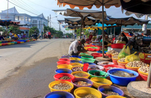 Rural Mekong Delta and Floating Markets