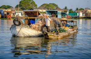 Deep In The Mekong Delta