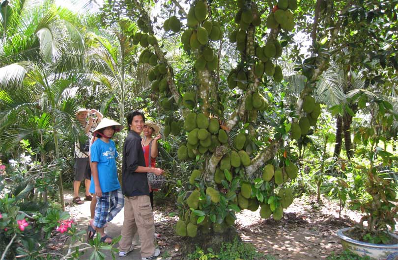 Cai Be Floating Market and Island Biking