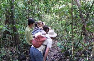 Explore Nam Cat Tien National Park
