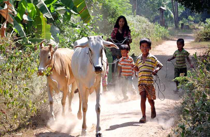 Cambodia At A Glance