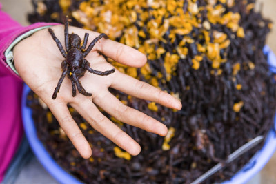 Top 6 Southeast Asia’s Weirdest Street Foods