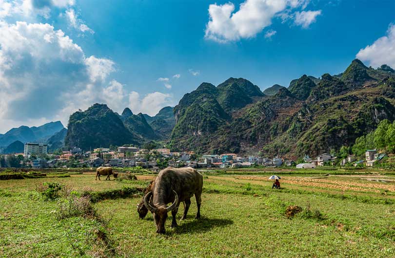 Ha Giang Loop